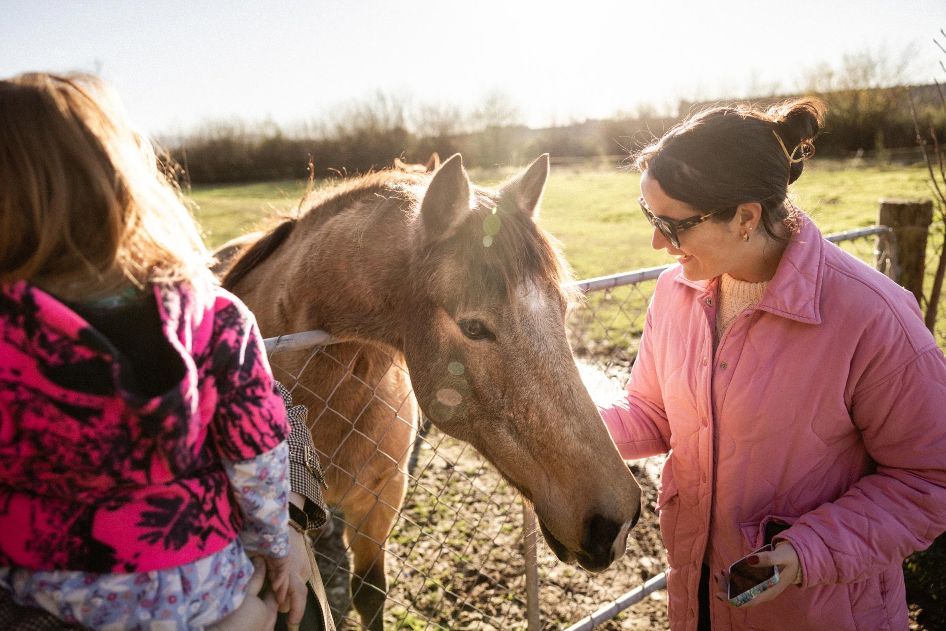 Guests meeting a horse at a neighbouring farm