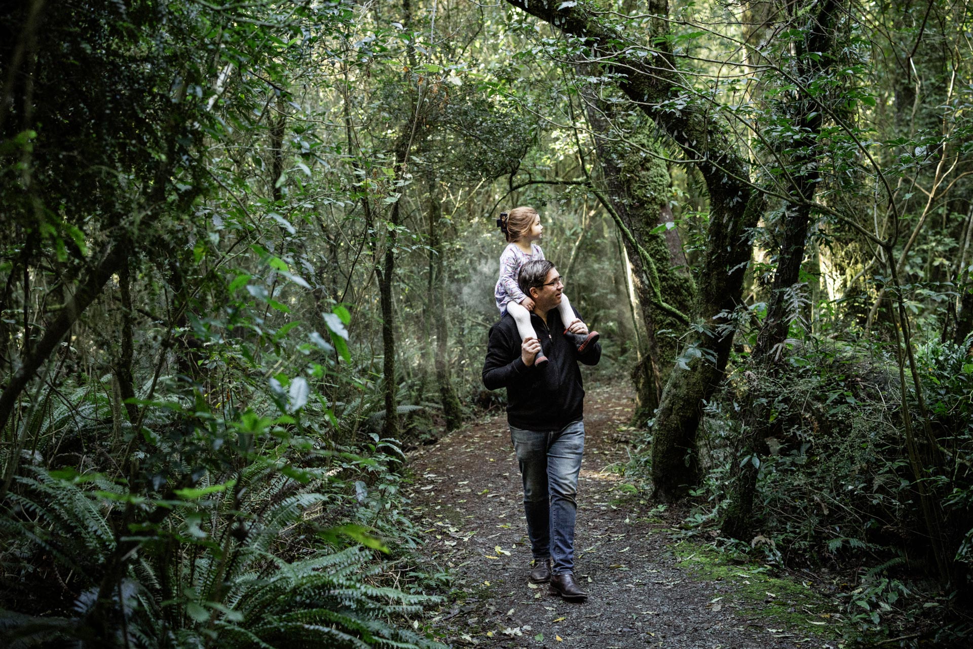 A father and daughter walking a fern-lined track through Peel Forest