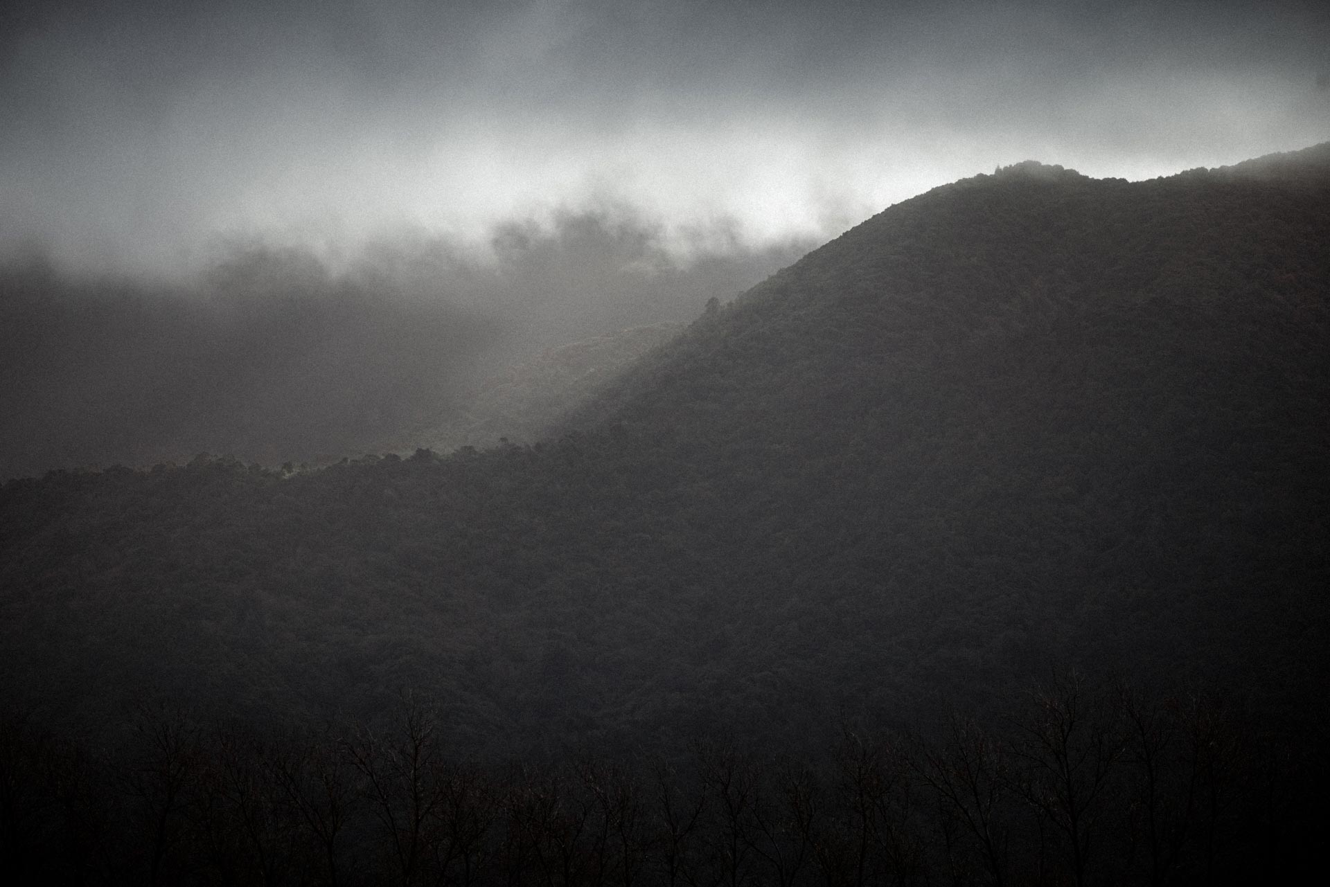 Mist rolling over the hills above Whakahā